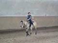 BWA-Westernreitturnier Unterhandenzhofen 2005