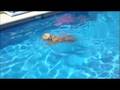 Kori swimming