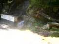 CLRC CAMERON HIGHLANDS