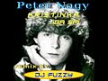 Peter Nagy - Kristinka ( rmx by Dj Fuzzy ) Peter Nagy - Kristinka ( rmx by Dj Fuzzy )