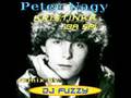 Peter Nagy - Kristinka ( rmx by Dj Fuzzy )