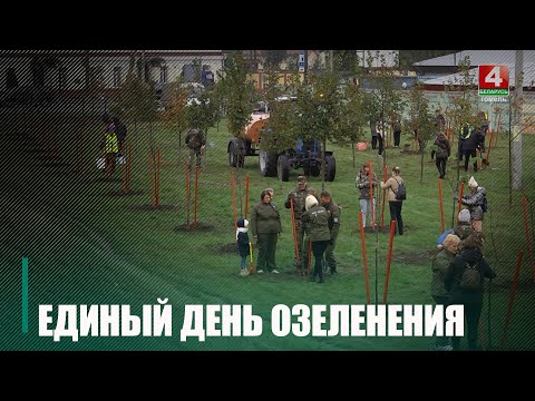 Адзіны дзень азелянення прайшоў на Гомельшчыне видео