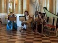 Bach Adagio (BWV 1039) from Baltic Baroque/Grigori Maltizov