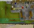 runescape yogosun!
