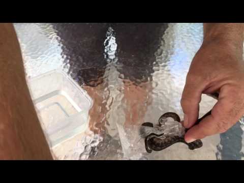 YouTube reptile video