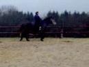 casandra eerste keer bitloos casandra eerste keer bitloos