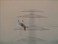 EPP - Trust Video 3