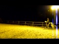 la sabotiere 211109 3