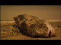 Matt Mahurin: H2 Uh Oh