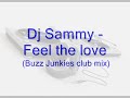 Dj Sammy - Feel the love (Buzz Junkies club mix)