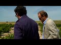 Con los creadores de Shaya (DO Rueda) en el viñedo - Todovino