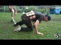 Top 10 festivalových šialencov