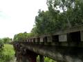 videos de loco bucca last trip 2008 nth line