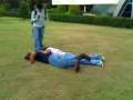 Luchas vs Pablo