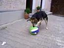 Anika got the ball