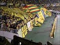JEF-United-Chiba-fan