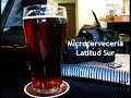 Microcervecería Latitud Sur