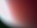 Snooker goes Wild Snooker goes Wild