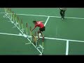 Agility - Patterdale terrier - Hiris Zwi-Le-Ro