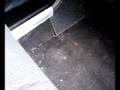 MK1 ESCORT PASSENGER SEAT AND FLOOR