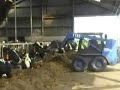 aardappels voeren met de bobcat aardappels voeren met de bobcat
