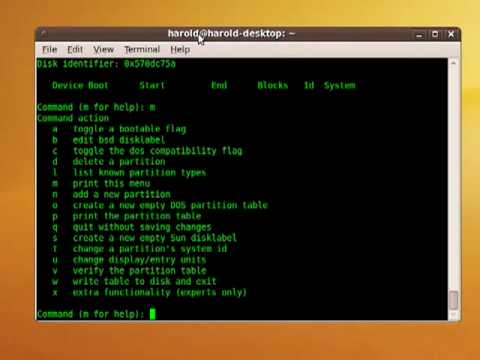 how to discover a new disk in linux