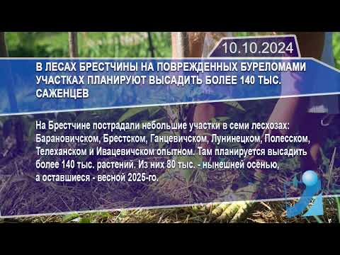 Новостная лента Телеканала Интекс 10.10.24.