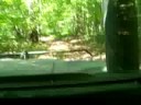 Hummer Ride