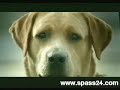 Comercial Firestone Comercial Firestone