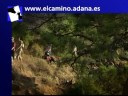 ADANA - EL CAMINO - Español ADANA - EL CAMINO - Español