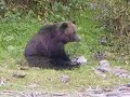 Black Irish Band-- \"Alaska Song\"