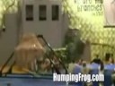 WIPEOUT
