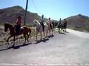 II Passeio a Cavalo (13) - ACRDLMatas