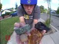 the basic skateboarding tips for beginners