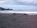 La Palma - Playa Echentive (2)