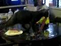 Meat Thief Meat Thief