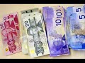 official-canadian-idiot-muchmusic-contest-submission.html