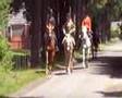 videos de Lits+Lauwers029 Skieppedrifte04