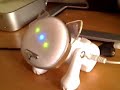 うたう猫動画