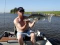Snoekbaars 84 cm Walleye Fishing in the Netherlands 33+inch