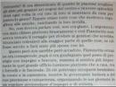 Fiammetta dei dipinti