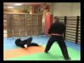 Kajukenbo Video