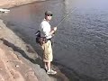 Dry Fly Carp