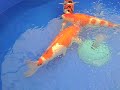 VID00046.AVI VID00046.AVI