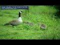 Roger Douglas To Bill English Tax Cut..mov