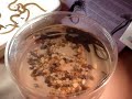LA Bug Fair \