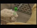 GenoID Laboratory