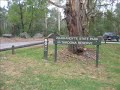 Yarra River Scenery at Warrandyte State Park