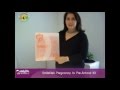 Smilefile's Pregnancy to Pre-School Kit - Aus Baby Bargains Video Review Smilefile's Pregnancy to Pre-School Kit - Aus Baby Bargains Video Review