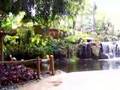 Weston at Maui